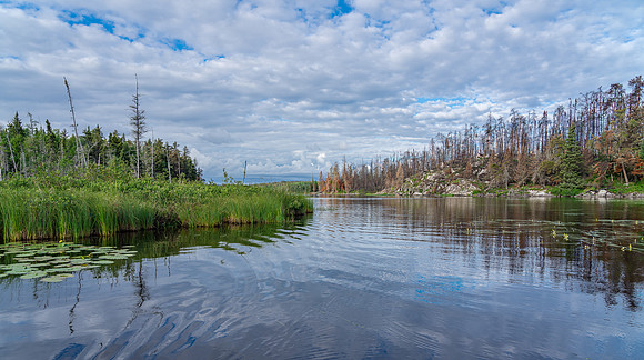 Paddling out of Hammerhead Lake towards the Gammon River inlet.