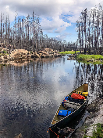 Paddling the Gammon River between Hammerhead and Gammon lakes.