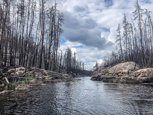 Utter devastation along the Gammon River between Hammerhead and Gammon Lake.