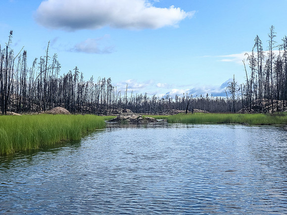 Paddling the Gammon River between Hammerhead and Gammon lakes.