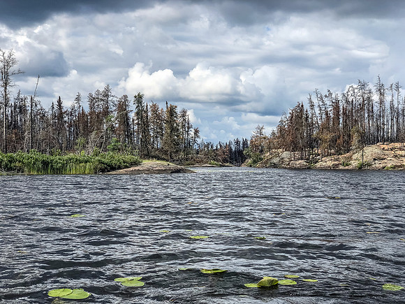 Paddling the south arm at the west end of Gammon Lake where the Gammon River starts to Hammerhead.