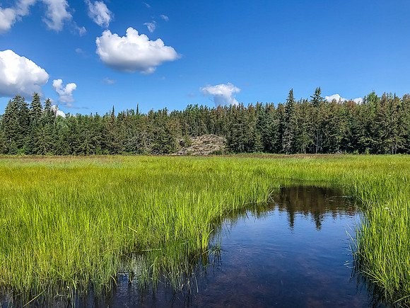 Haven Creek starts off rather nicely from Rostoul Lake...