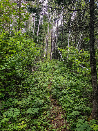 Portage along Haven Creek from Rostoul to Cyclops.