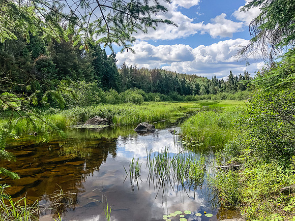 The shallow, rocky, muddy Haven Creek from Rostoul to Cyclops Lake.