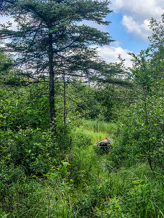 Portage along Haven Creek from Rostoul to Cyclops.