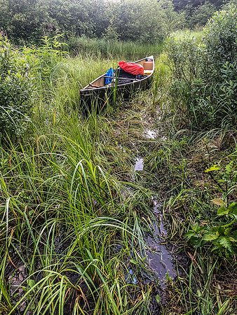 Arg. Haven Creek can be a real mess!