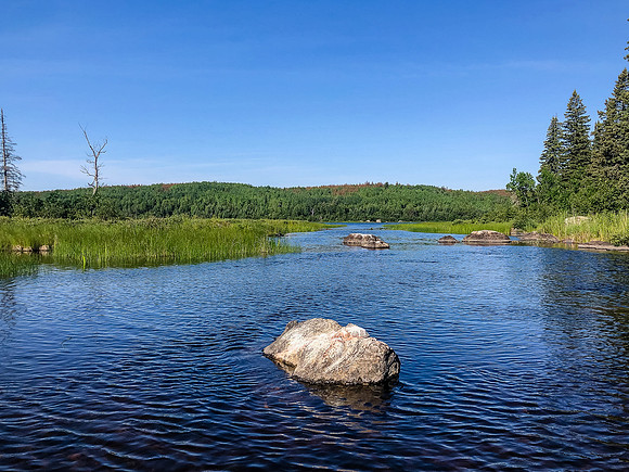 Paddling east up the Rostoul River towards Optic from Glenn Lake.