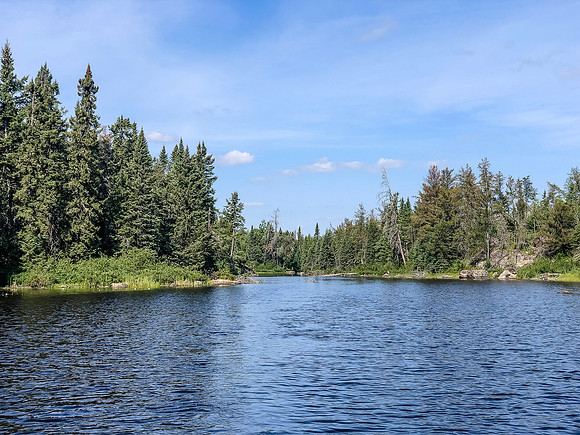 Paddling the Rostoul River through Optic Lake.