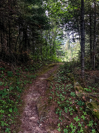 The 525m portage from Stan to Johnson Lake.