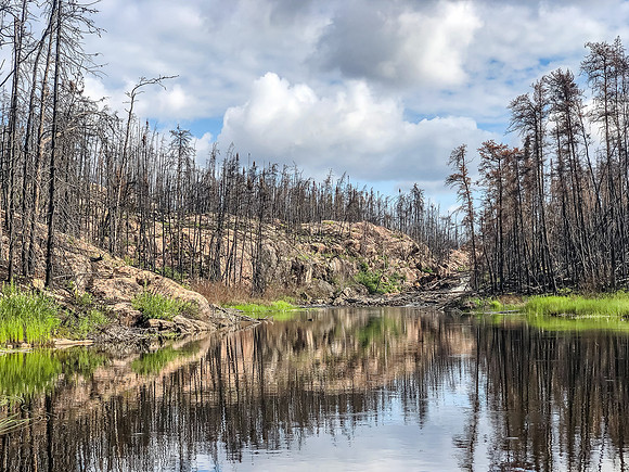 Paddling the Gammon River between Hammerhead and Gammon lakes.