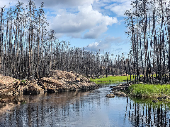 Paddling the Gammon River between Hammerhead and Gammon lakes.