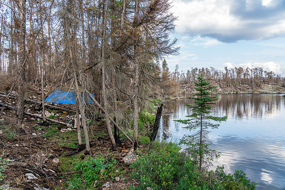 Our campsite on a burned shoreline of the lake south of Poodle.