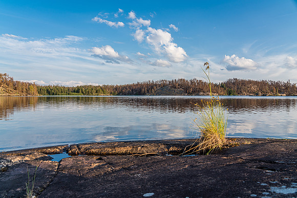 Evening scenes in WCPP.