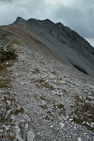 Going up to the miners.