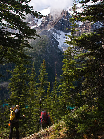 Wonder Pass Trail