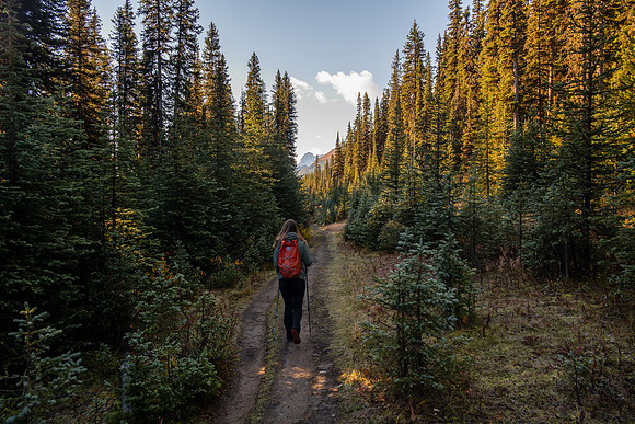 Hiking the road along Smuts Creek.