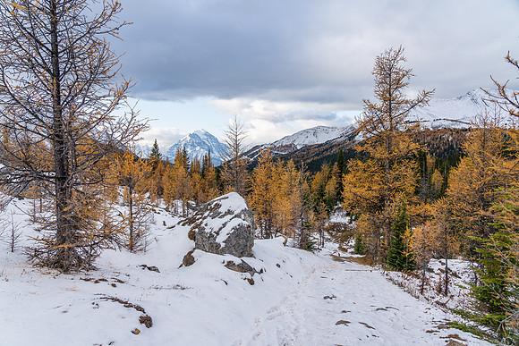 Hiking up to Boulder Pass.