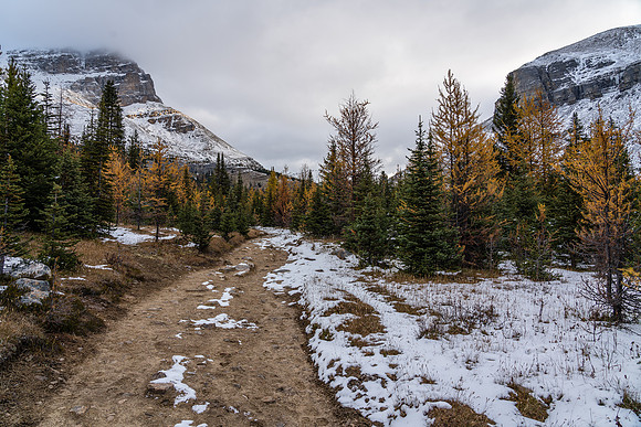 Hiking up to Boulder Pass.