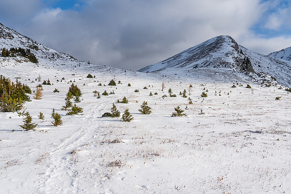 Hiking up to Packers Pass.
