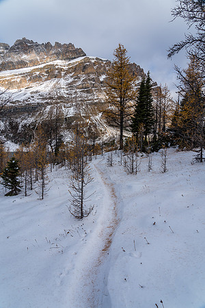 Hiking along Zigadenus Lake in snow and larch needles.
