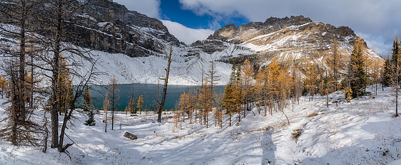 Hiking along Zigadenus Lake in snow and larch needles.