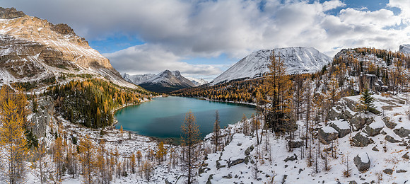Larches and snow along with a sparkling Myosotis Lake.
