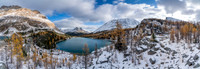 Larches and snow along with a sparkling Myosotis Lake.