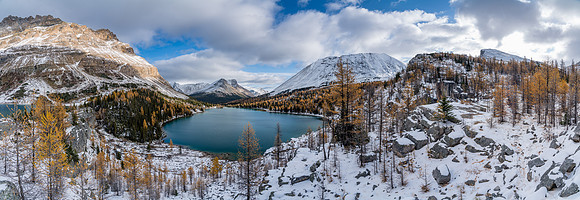 Larches and snow along with a sparkling Myosotis Lake.
