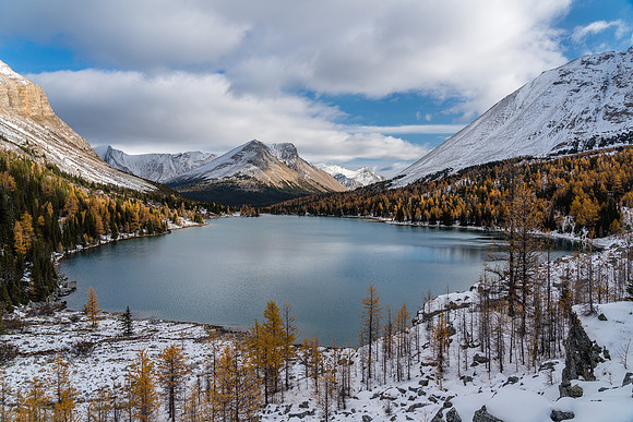Larches and snow along with a sparkling Myosotis Lake.