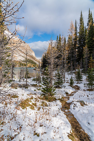 Hiking around Myosotis Lake.