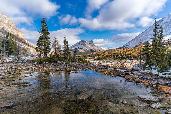 The outflow from Myosotis Lake to Skoki Creek.