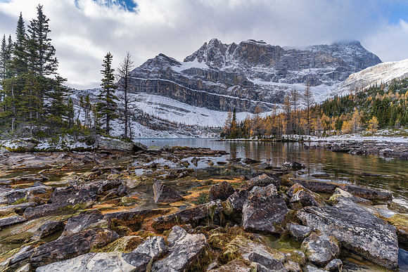 Views from near the Myosotis Lake outflow back to Ptarmigan and Pika Peak.