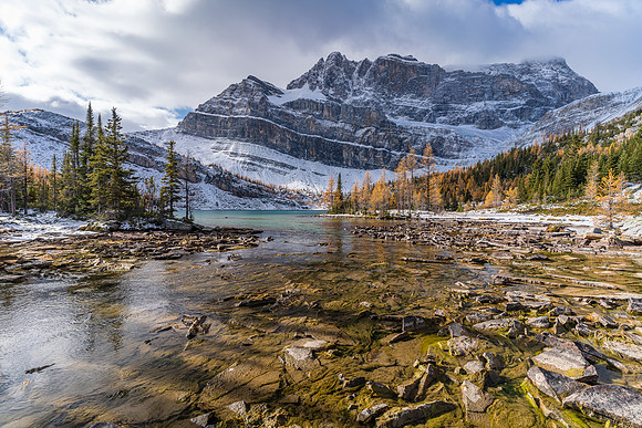 Views from near the Myosotis Lake outflow back to Ptarmigan and Pika Peak.