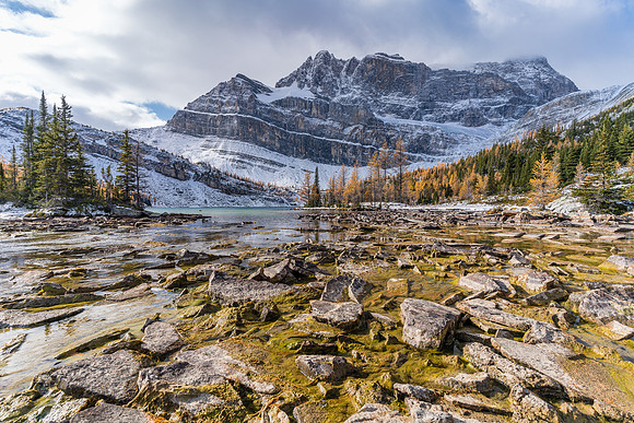 Views from near the Myosotis Lake outflow back to Ptarmigan and Pika Peak.