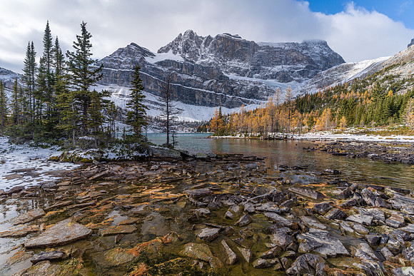 Views from near the Myosotis Lake outflow back to Ptarmigan and Pika Peak.