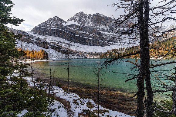 Hiking along Myosotis Lake.