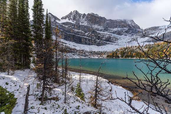 Hiking along Myosotis Lake.