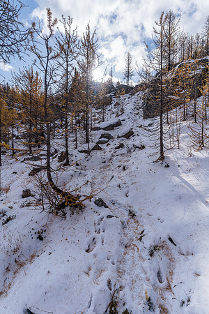 Hiking along Myosotis Lake.