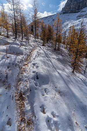 Hiking back up to Packers Pass.