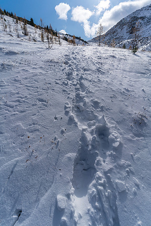 Hiking back up to Packers Pass.