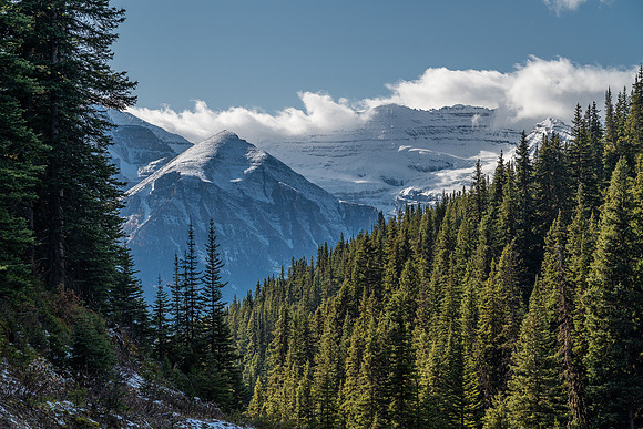 Views of Mount Victoria from Boulder Pass.