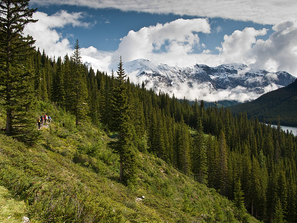 Wonder Pass Trail