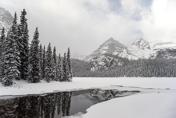 Arriving at the lower Elk Lake.