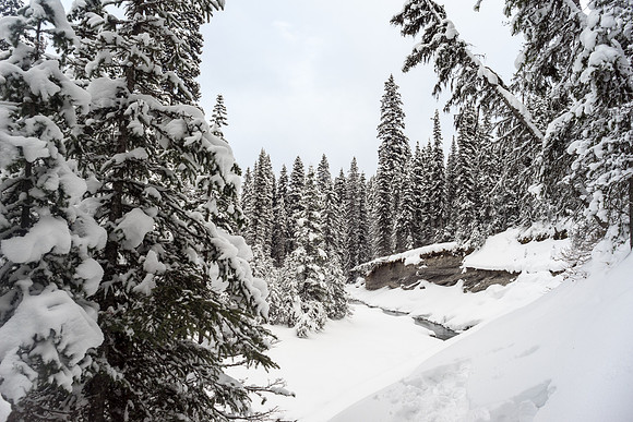 This is looking at the washed out section from the Upper Elk Lake side - note the creek bank is completely gone!
