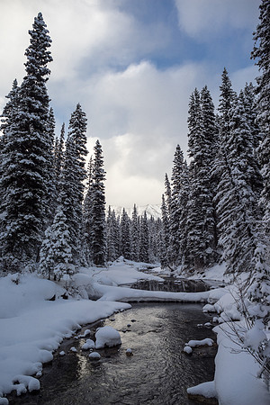 Petain Creek.