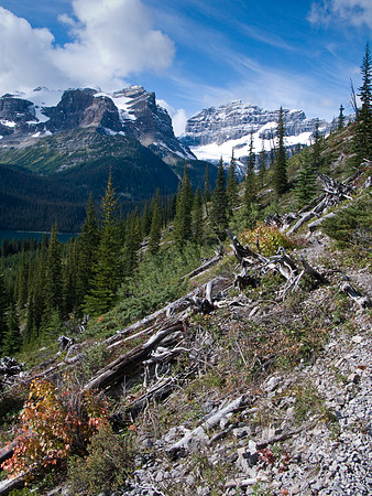 Wonder Pass Trail