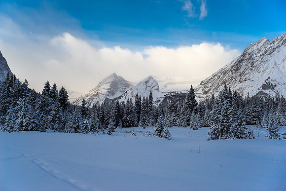 Snowshoeing back towards the Kananaskis Lakes.