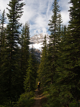 Wonder Pass Trail