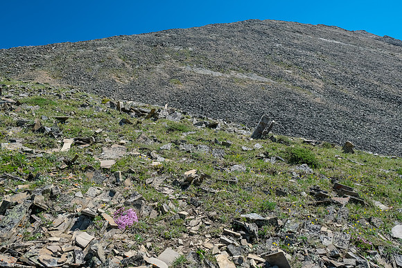 Ascending to the west ridge of Gibraltar.