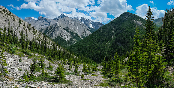 Descending the south gully to Cliff Creek. We'll traverse out to the right.